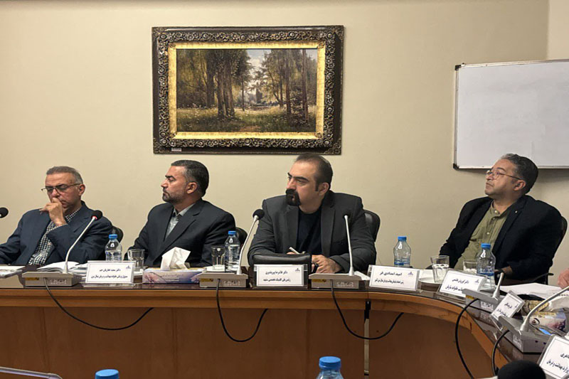 همایش سراسری تیم سلامت خانواده - نرم افزار سلامت نگار