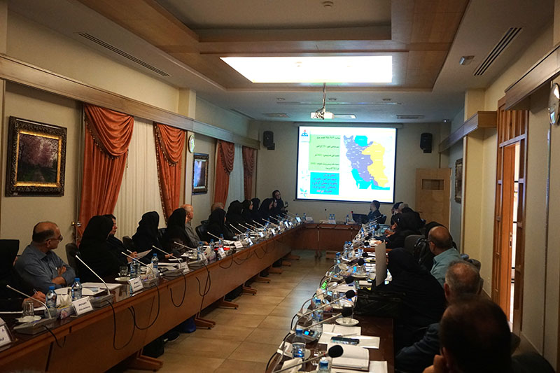 همایش سراسری تیم سلامت خانواده - نرم افزار سلامت نگار