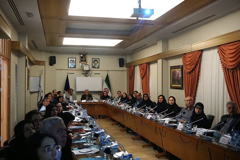 همایش سراسری تیم سلامت خانواده - نرم افزار سلامت نگار